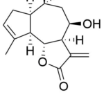Estructura 2D de <b>Bahía I</b>