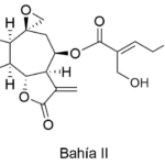 Estructura 2D de <b>Bahía II</b>