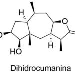 Estructura 2D de <b>Dihidrocumanina</b>