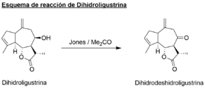 ER_Dihidroligustrina