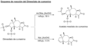 ER_Dimesilatodecumanina