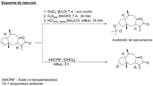 ER_Tetrahedron221499_XXI