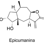 Estructura 2D de <b>Epicumanina</b>