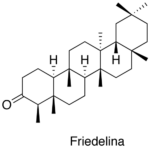 Estructura 2D de <b>Friedelina</b>