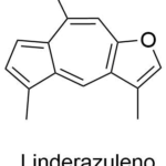 Estructura 2D de <b>Linderazuleno</b>