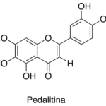 Estructura 2D de <b>Pedalitina</b>