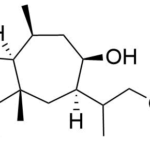 Estructura 2D de Tetrahedron221499_XVII